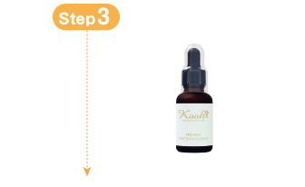 �v���~�A��P�G�b�Z���X