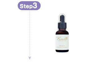 �v���~�A��P�G�b�Z���X