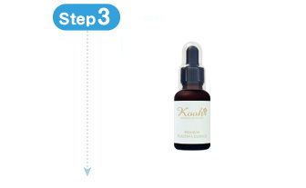 �v���~�A��P�G�b�Z���X